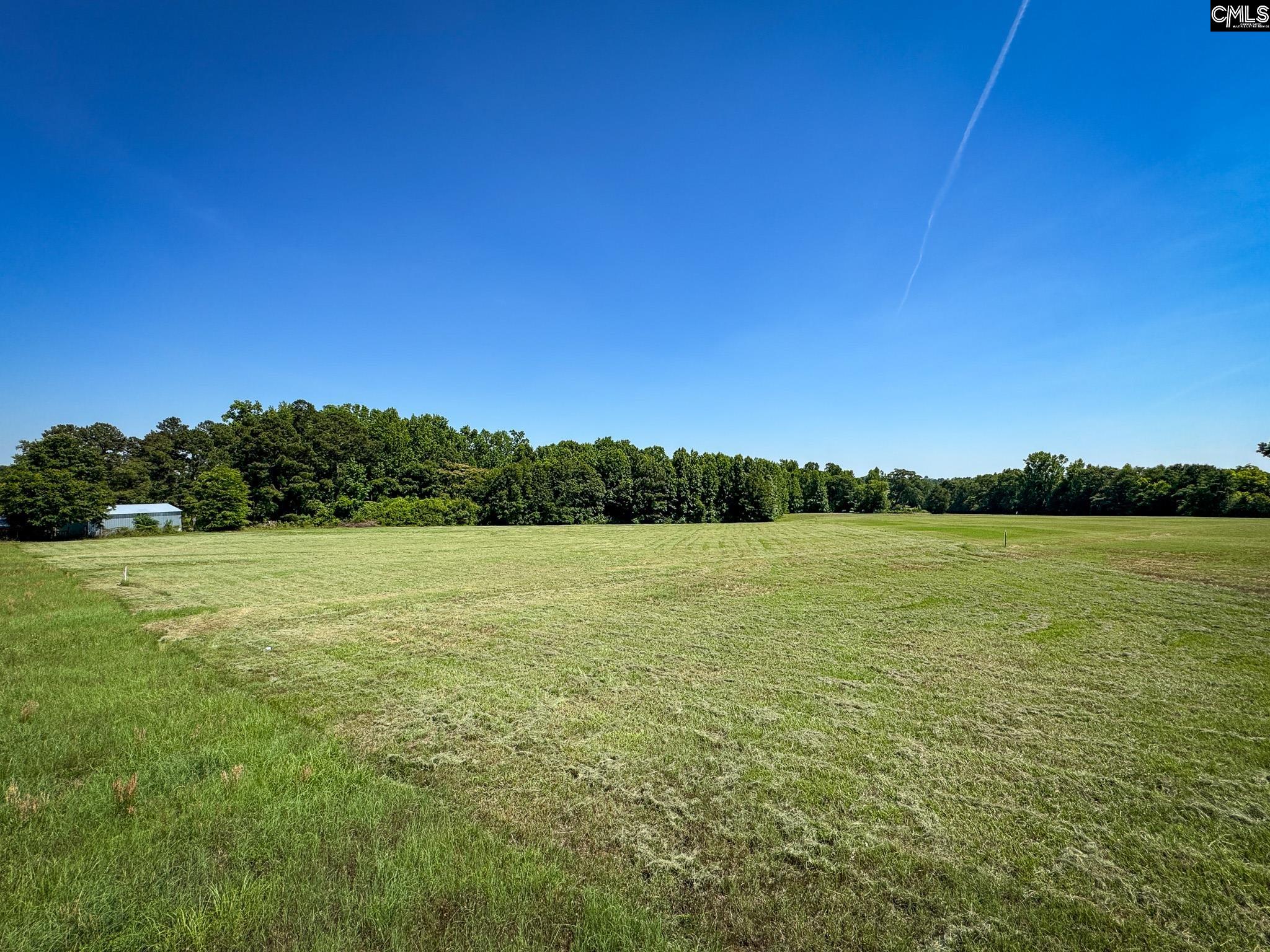 0 Shealy Road, Unit LOT 3 Batesburg, SC 29006 - Photo 5 of 16 a view of lake with mountain