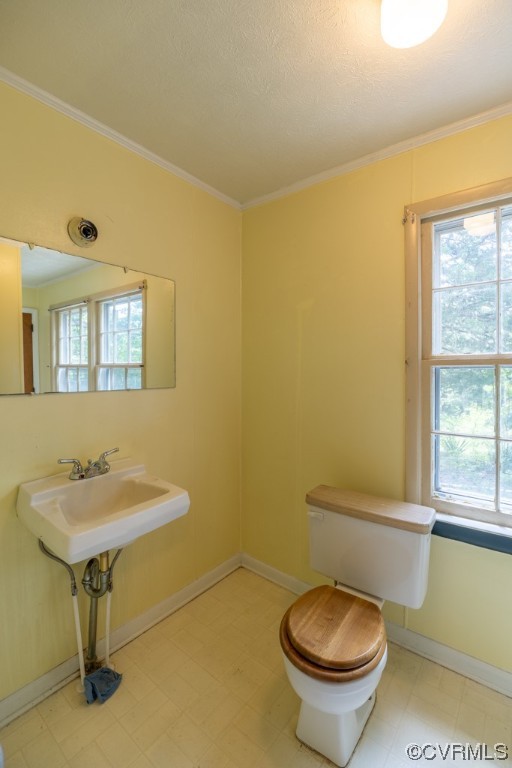 1710 Indian Oak Road Crewe, VA 23930 - Photo 19 of 28 Gallery Image 19