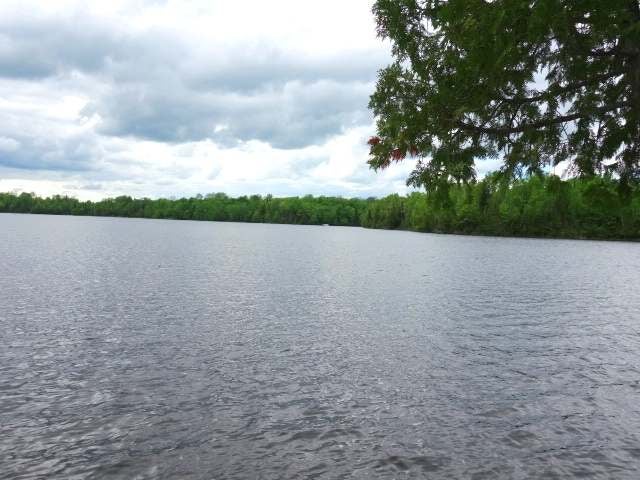 Lot 2 Murphy Lake Road Presque Isle, WI 54557 - Photo 9 of 13 Gallery Image 9