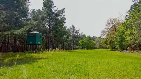 a view of a garden with a fountain