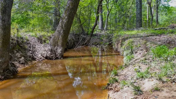 a view of swimming pool from a yard