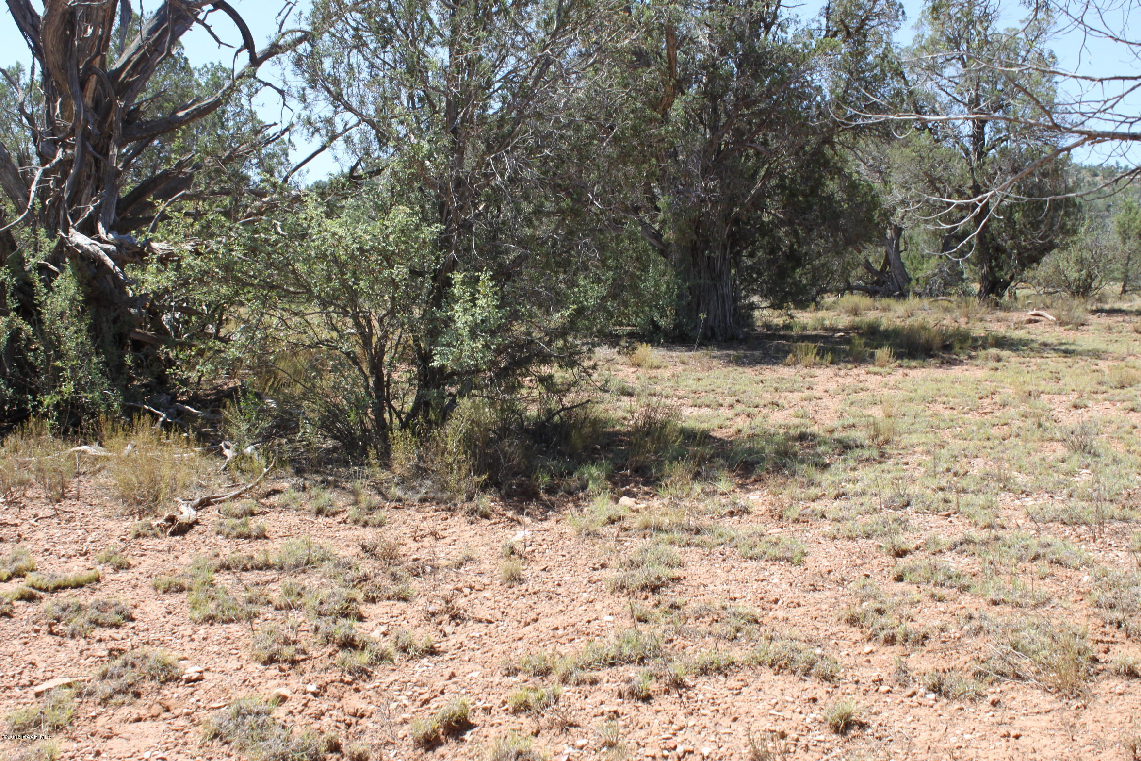 273 Arizona Road Ash Fork, AZ 86320 - Photo 13 of 23 IMG_2573