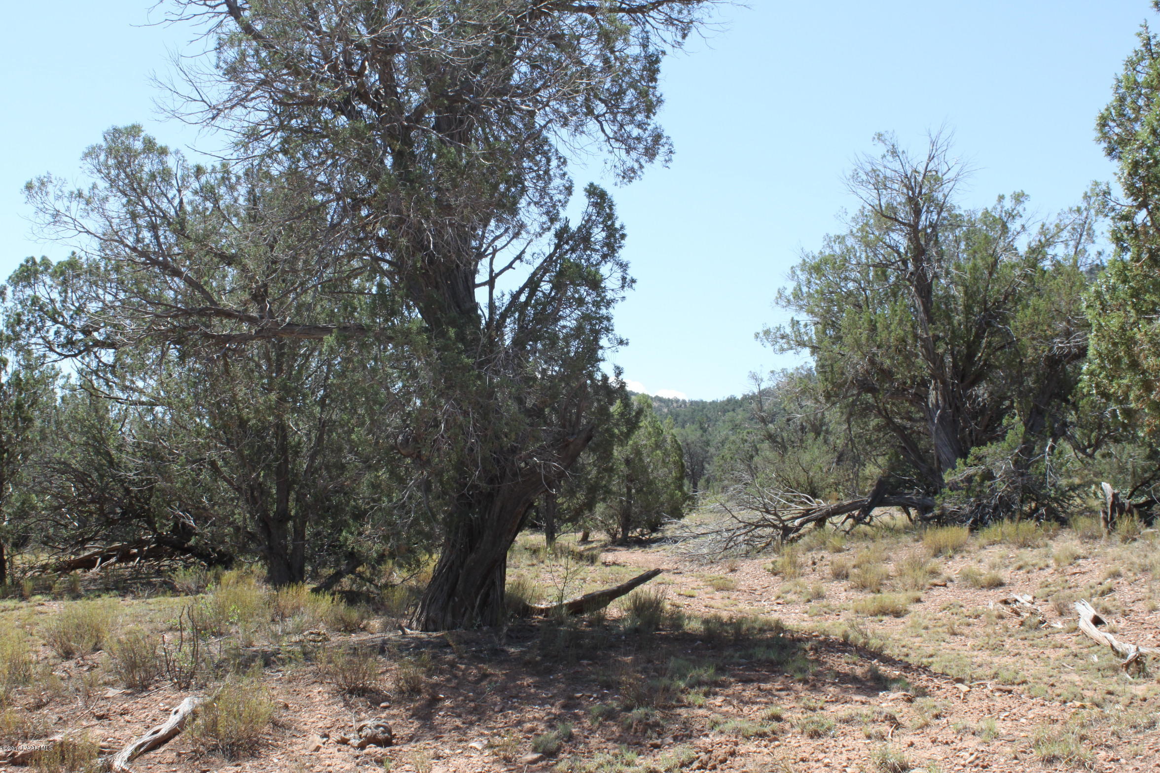 273 Arizona Road Ash Fork, AZ 86320 - Photo 15 of 23 IMG_2575