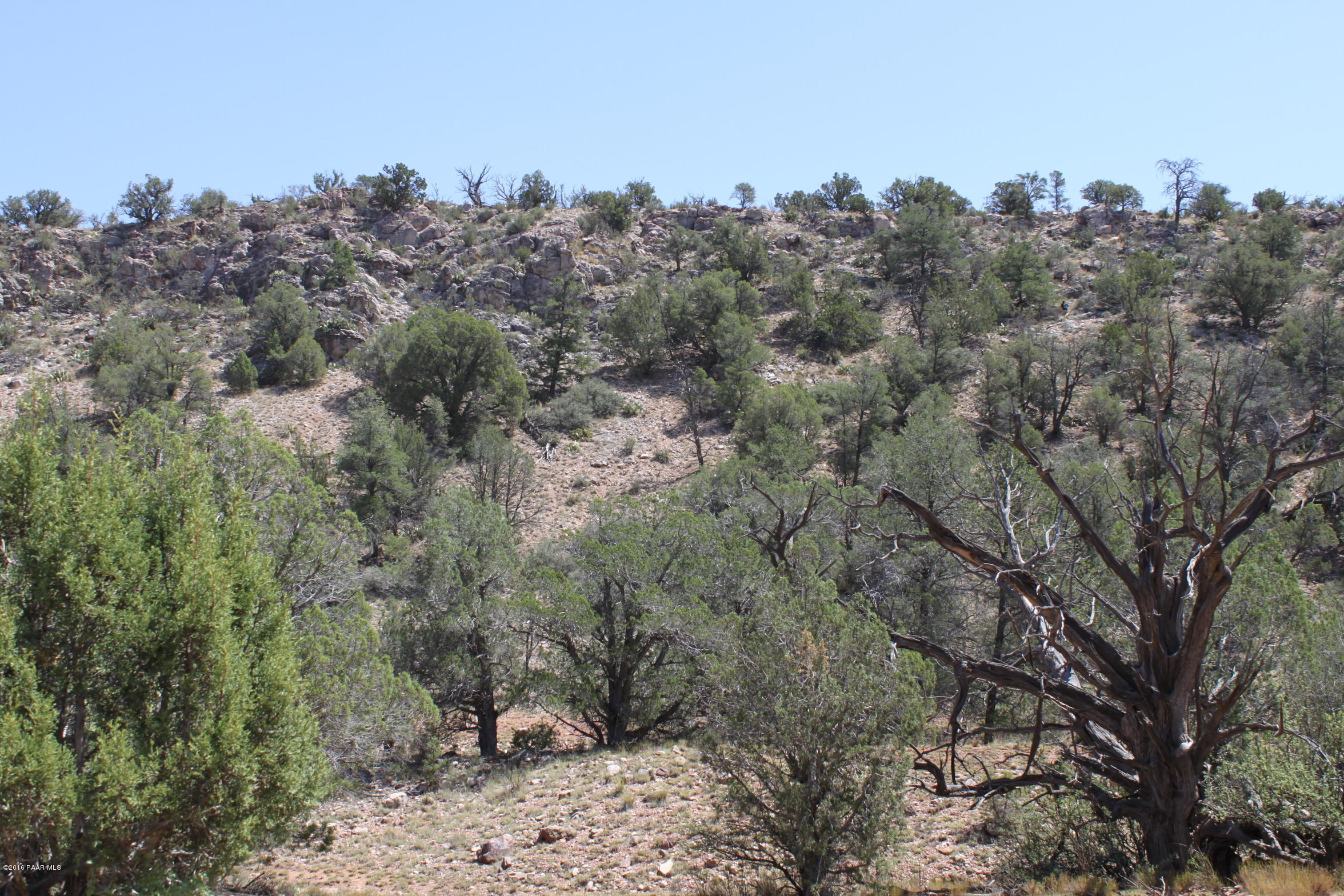 273 Arizona Road Ash Fork, AZ 86320 - Photo 16 of 23 IMG_2576