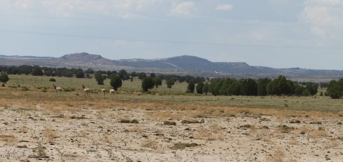 273 Arizona Road Ash Fork, AZ 86320 - Photo 23 of 23 The drive in!