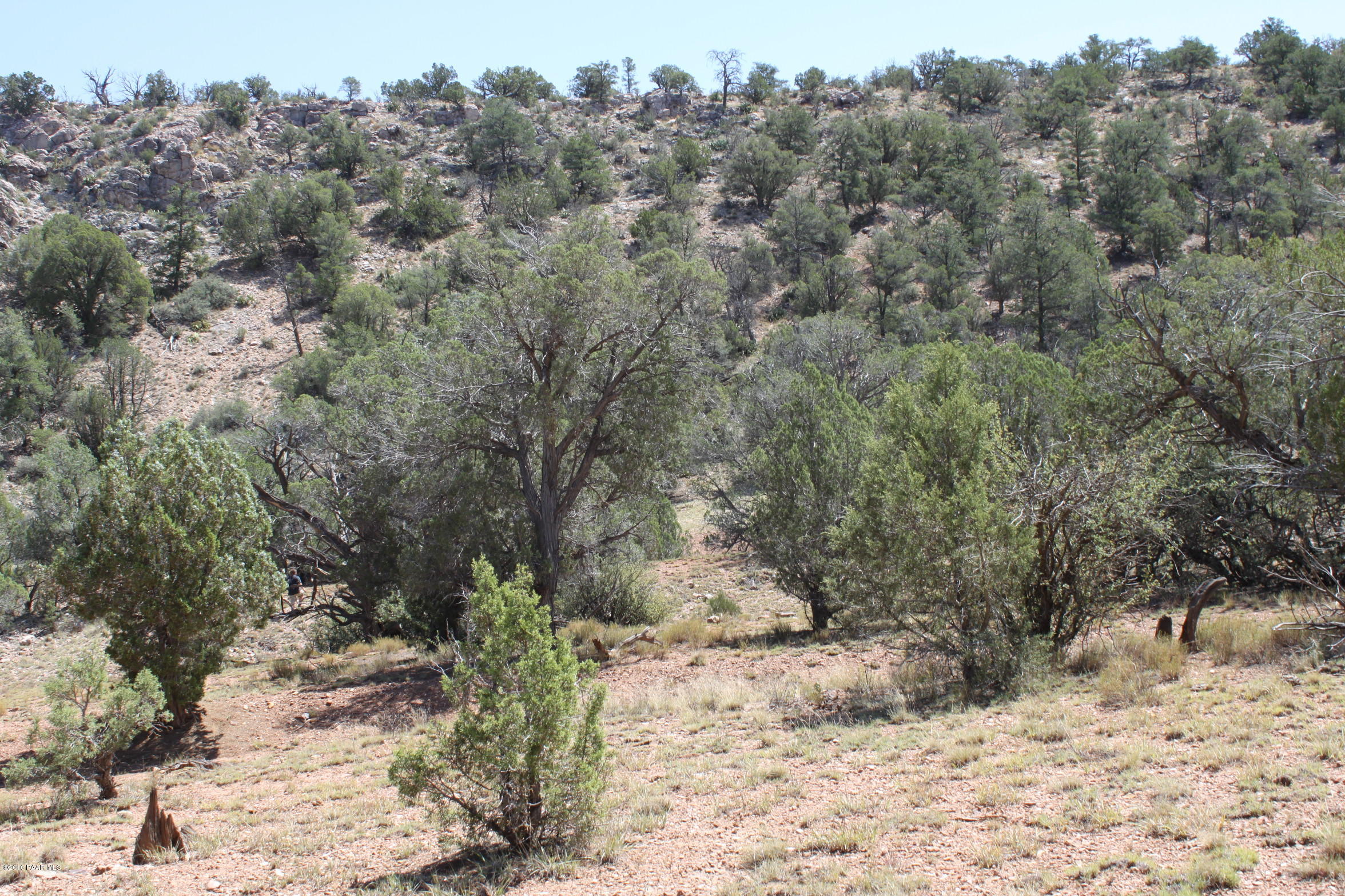 273 Arizona Road Ash Fork, AZ 86320 - Photo 3 of 23 IMG_2563
