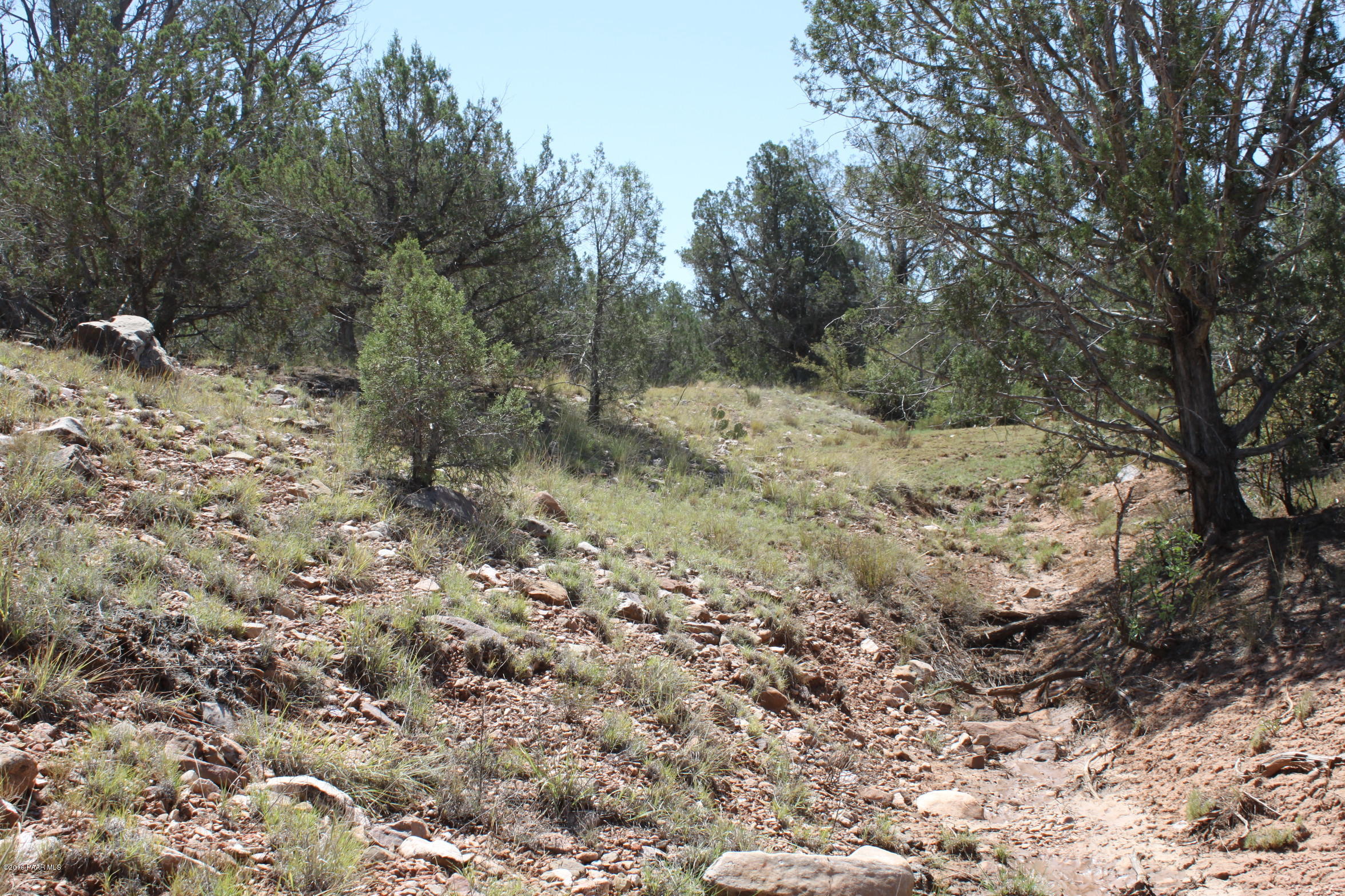 273 Arizona Road Ash Fork, AZ 86320 - Photo 8 of 23 IMG_2568