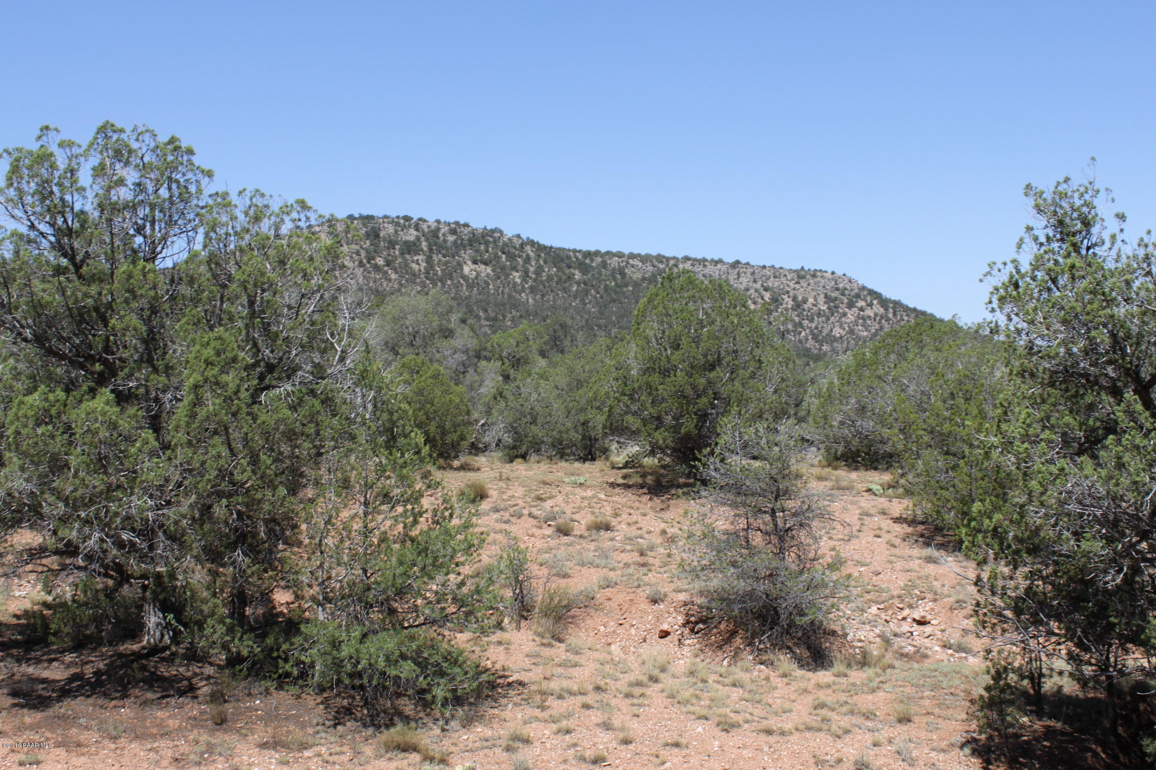 273 Arizona Road Ash Fork, AZ 86320 - Photo 9 of 23 IMG_2569