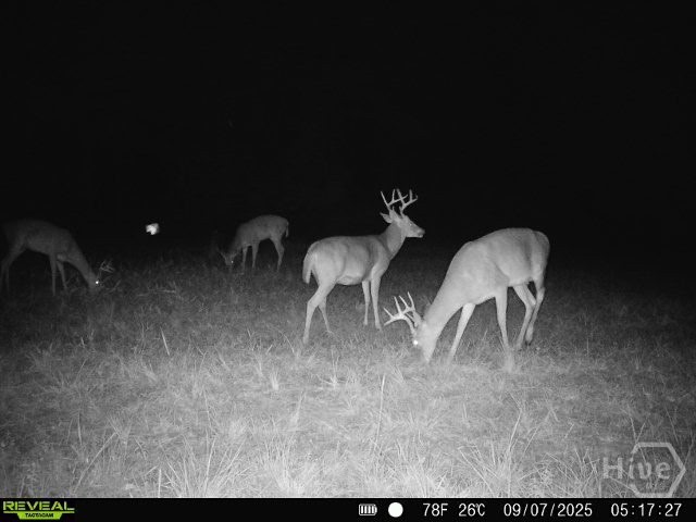 0 Tillman Eason Road Claxton, GA 30417 - Photo 22 of 28