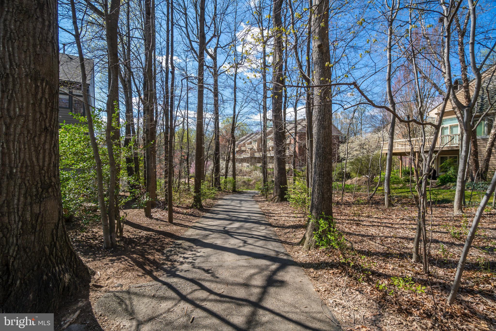 11512 Hemingway Drive Reston, VA 20194 - Photo 35 of 40 Gallery Image 35