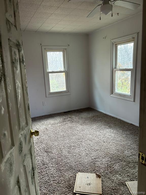 703 North Wilder Road Lapeer, MI 48446 - Photo 9 of 10