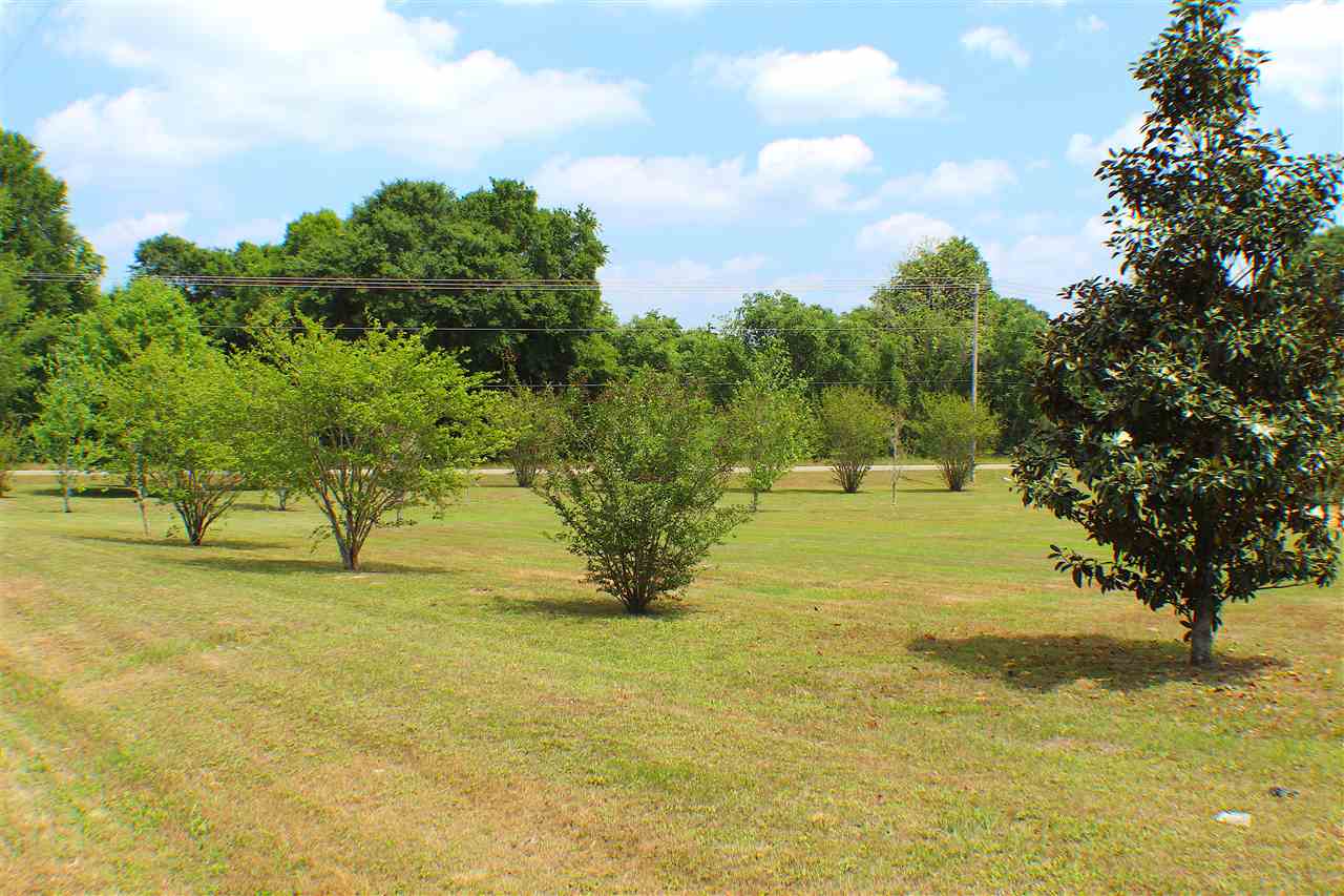 26930 Forest View Road Robertsdale, AL 36567 - Photo 5 of 6