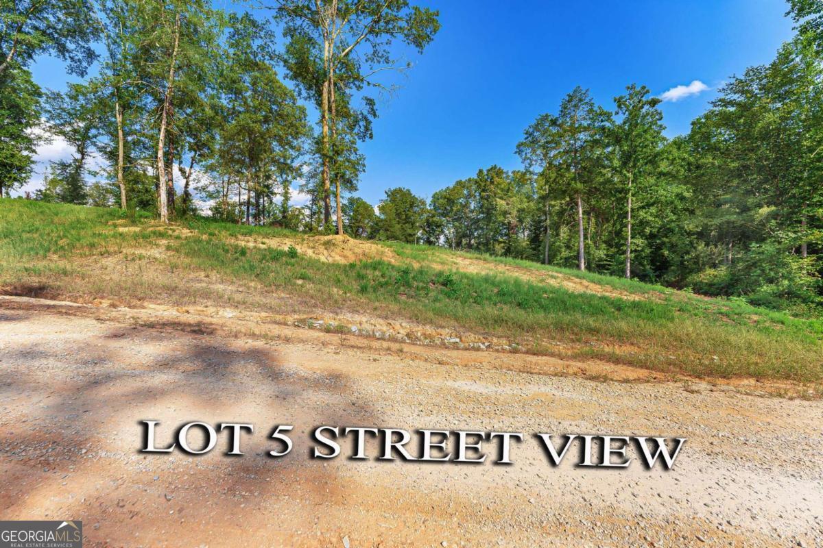Lot 5 Stewart Loop Jefferson, GA 30549 - Photo 6 of 13 a view of a park that has a tree
