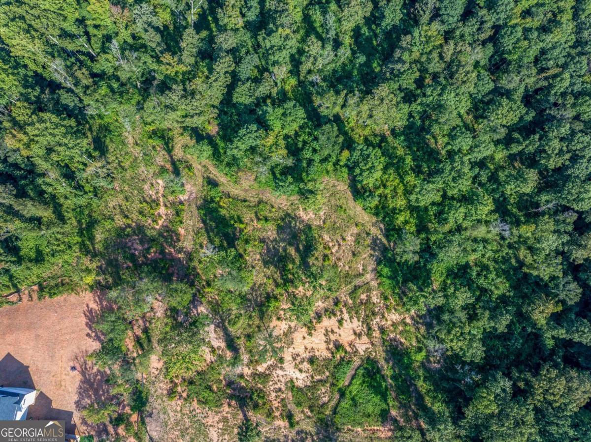 Lot 5 Stewart Loop Jefferson, GA 30549 - Photo 8 of 13 a view of a lush green forest with lots of trees