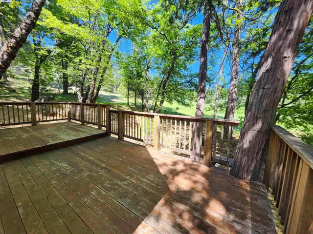 a body of water with a tree in the background