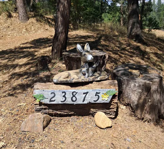 $450,000 | 23875 Marshall Way, Twain Harte, CA 95383