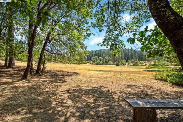 a view of yard with green space
