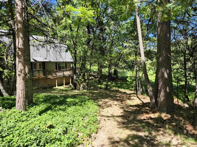a view of a yard in front of house