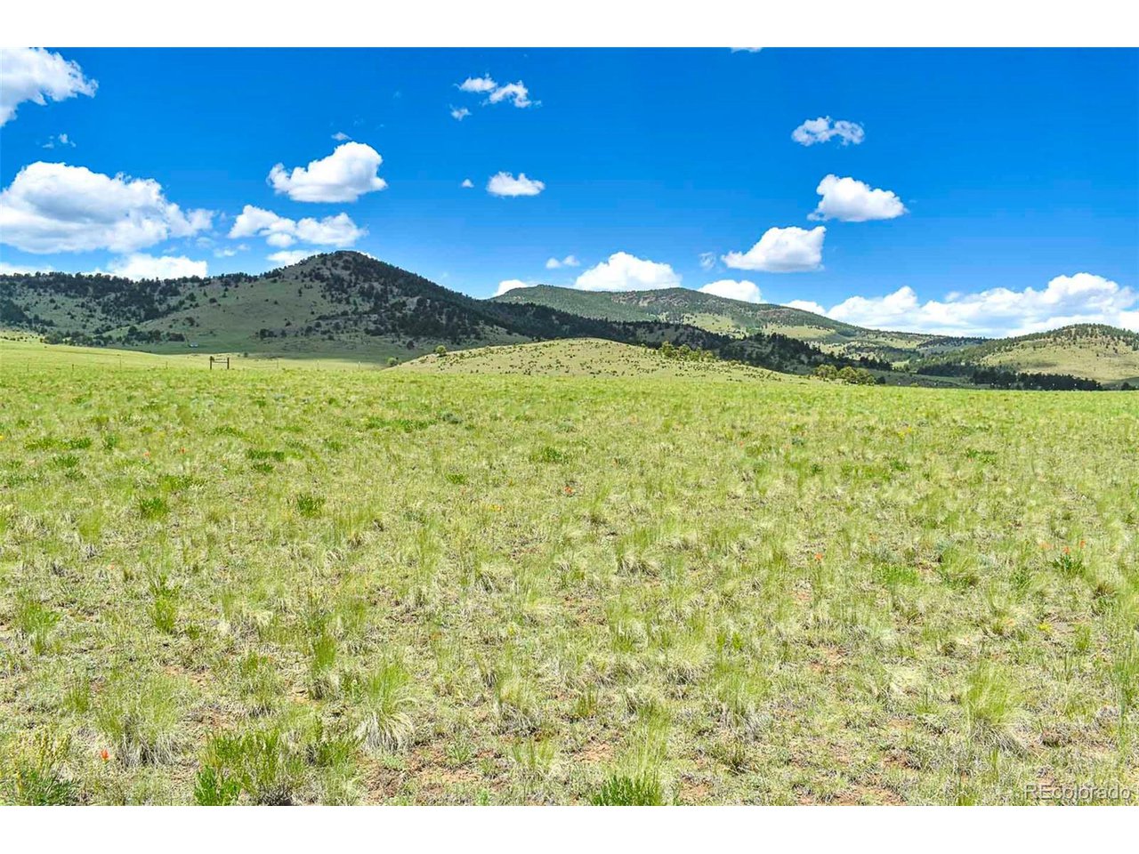 63 County Road Guffey, CO 80820 - Photo 25 of 35 Gallery Image 25