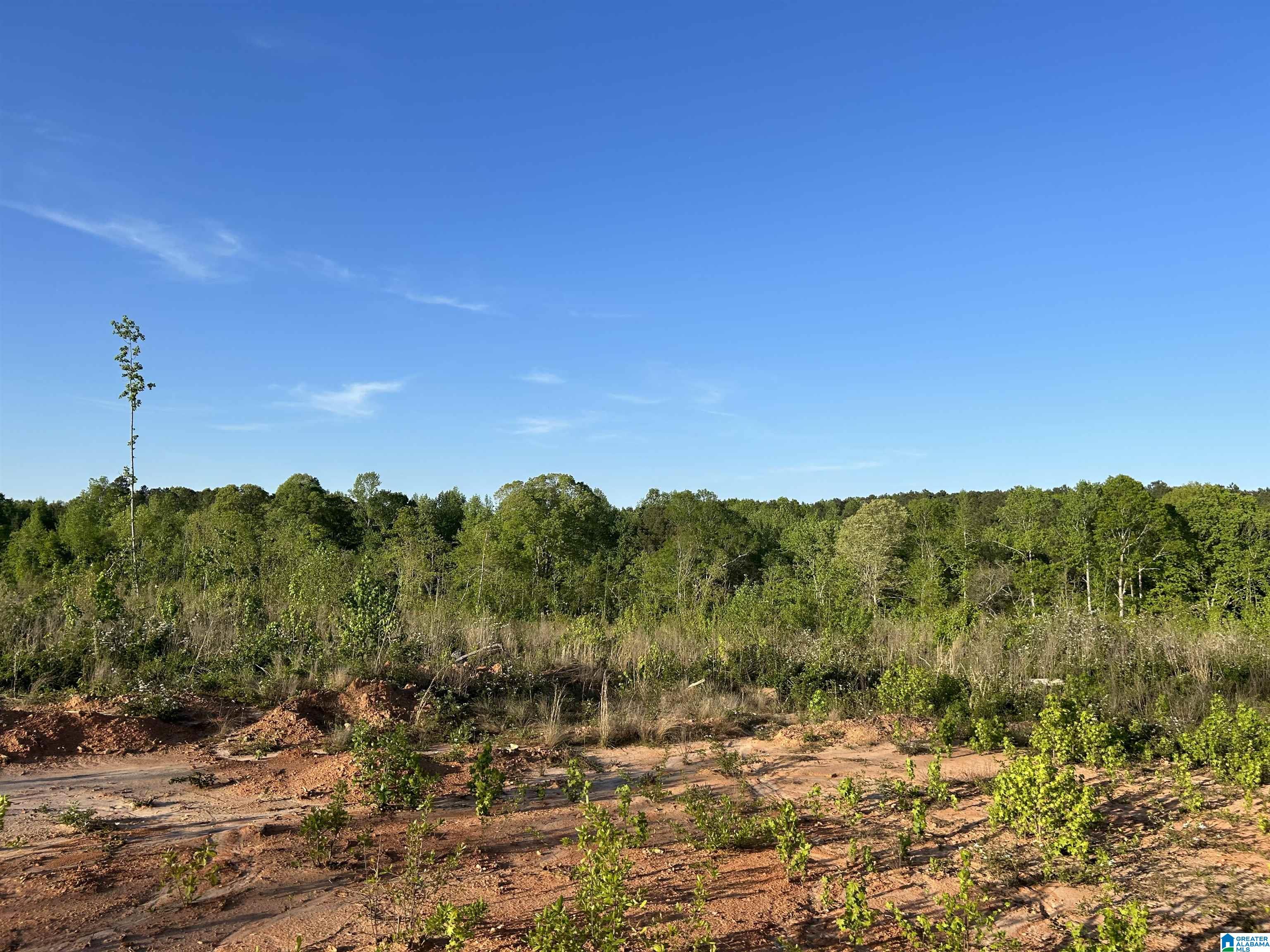 639 County Road, Unit TRACT 3 18 Roanoke, AL 36274 - Photo 4 of 8