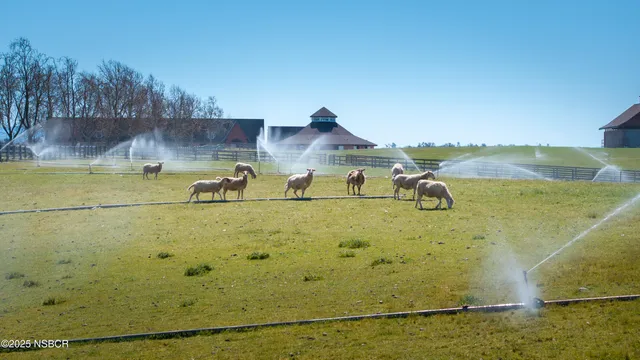 $33,000,000 | 5010 Gate 4 Road, Paso Robles, CA 93446