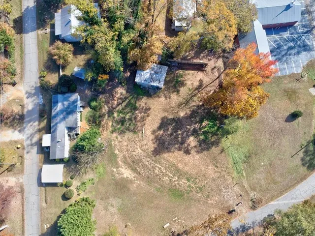 a picture of flowers