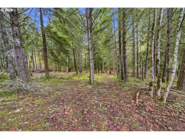 $565,000 | 36778 Shoreview Drive, Dorena, OR 97434