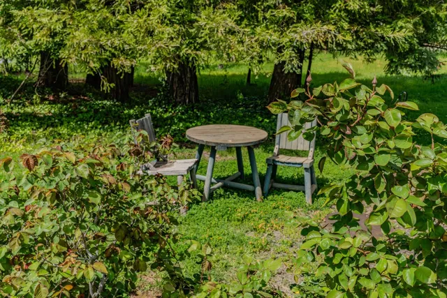 $699,500 | 10690 White Oak Road, Plymouth, CA 95669