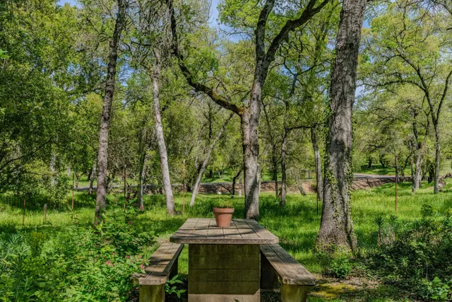 $699,500 | 10690 White Oak Road, Plymouth, CA 95669