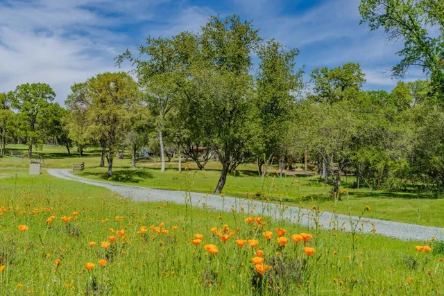 $699,500 | 10690 White Oak Road, Plymouth, CA 95669