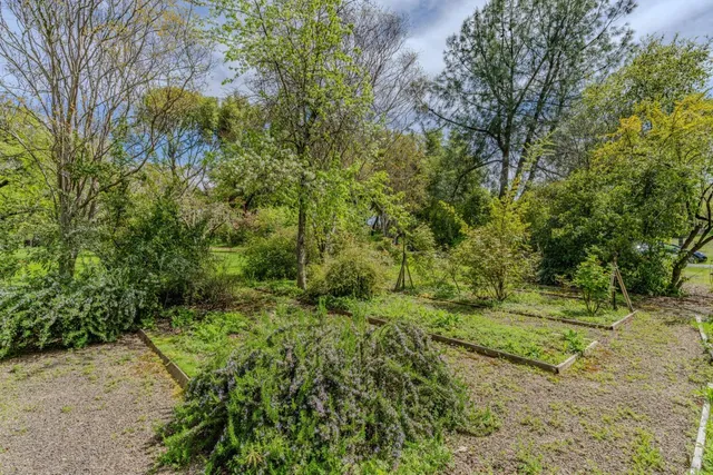 $699,500 | 10690 White Oak Road, Plymouth, CA 95669