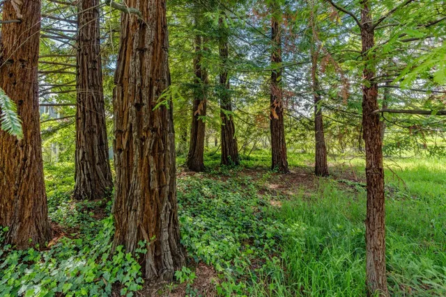 $699,500 | 10690 White Oak Road, Plymouth, CA 95669