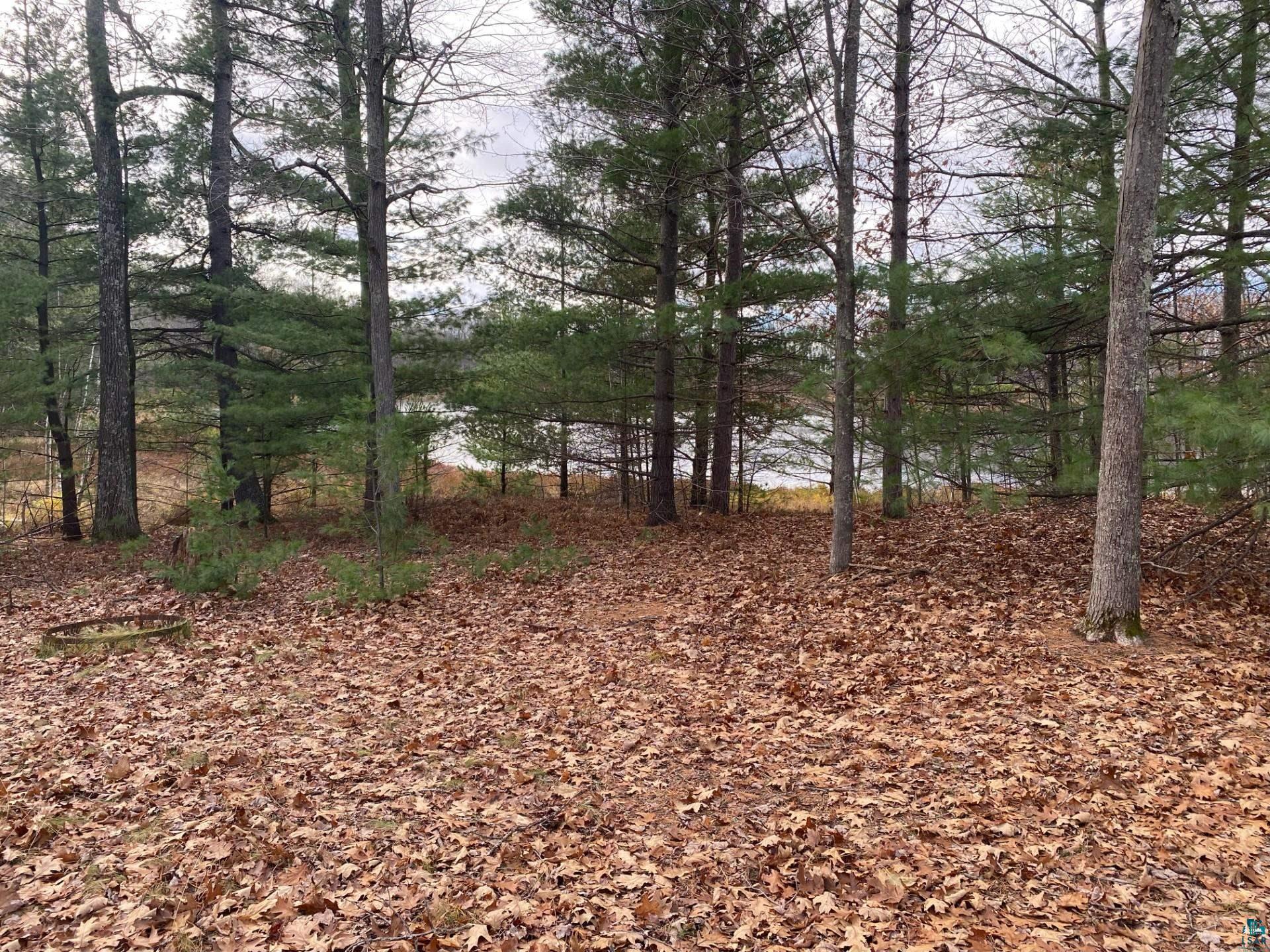 11316 East Timber Ridge Drive Lake Nebagamon, WI 54849 - Photo 25 of 27 View of landscape featuring a water view