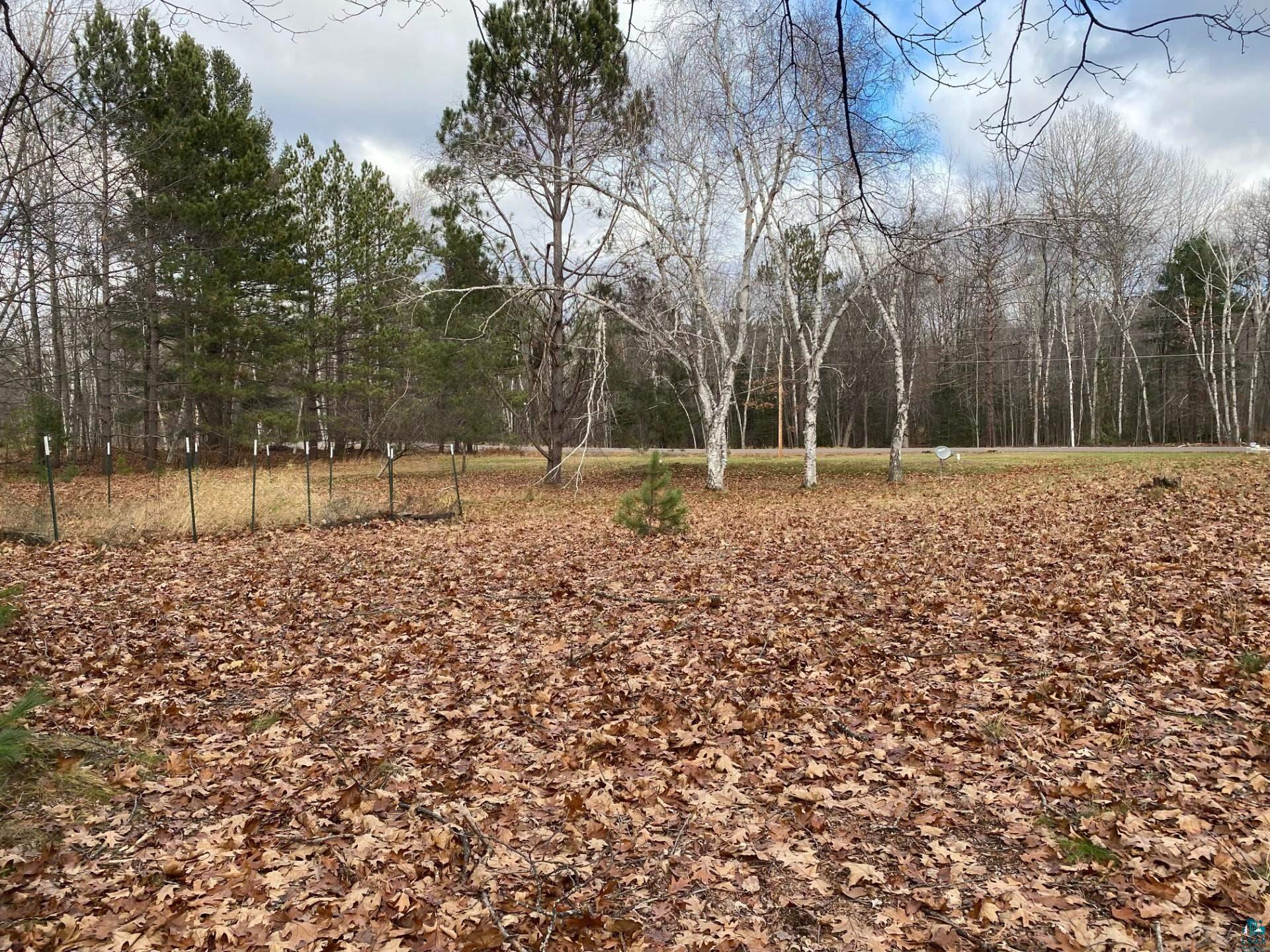 11316 East Timber Ridge Drive Lake Nebagamon, WI 54849 - Photo 26 of 27 View of yard