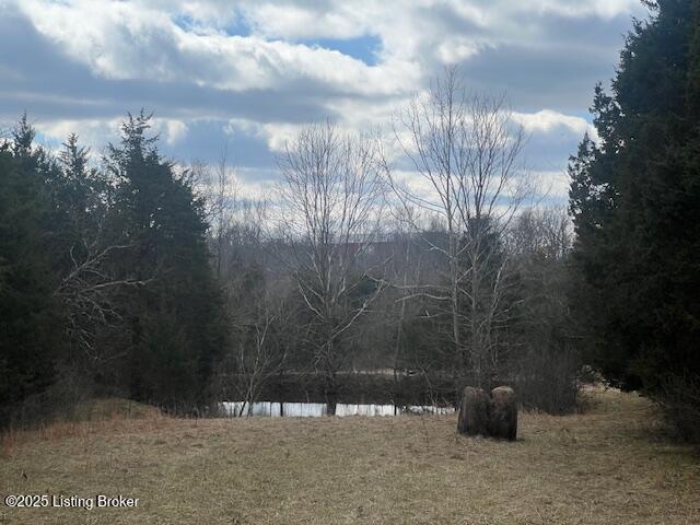 1180 C Pattons Creek Road Pendleton, KY 40055 - Photo 6 of 20 image001