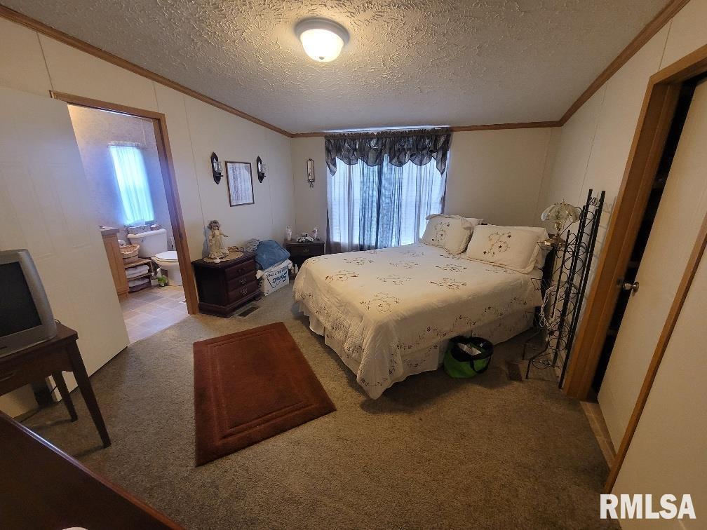 315 3rd Avenue Grand Tower, IL 62942 - Photo 15 of 28