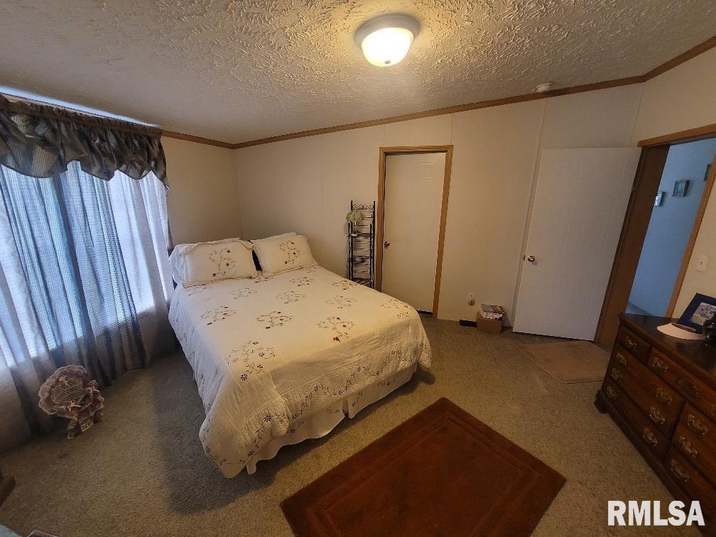 315 3rd Avenue Grand Tower, IL 62942 - Photo 16 of 28