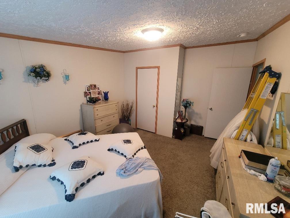 315 3rd Avenue Grand Tower, IL 62942 - Photo 20 of 28