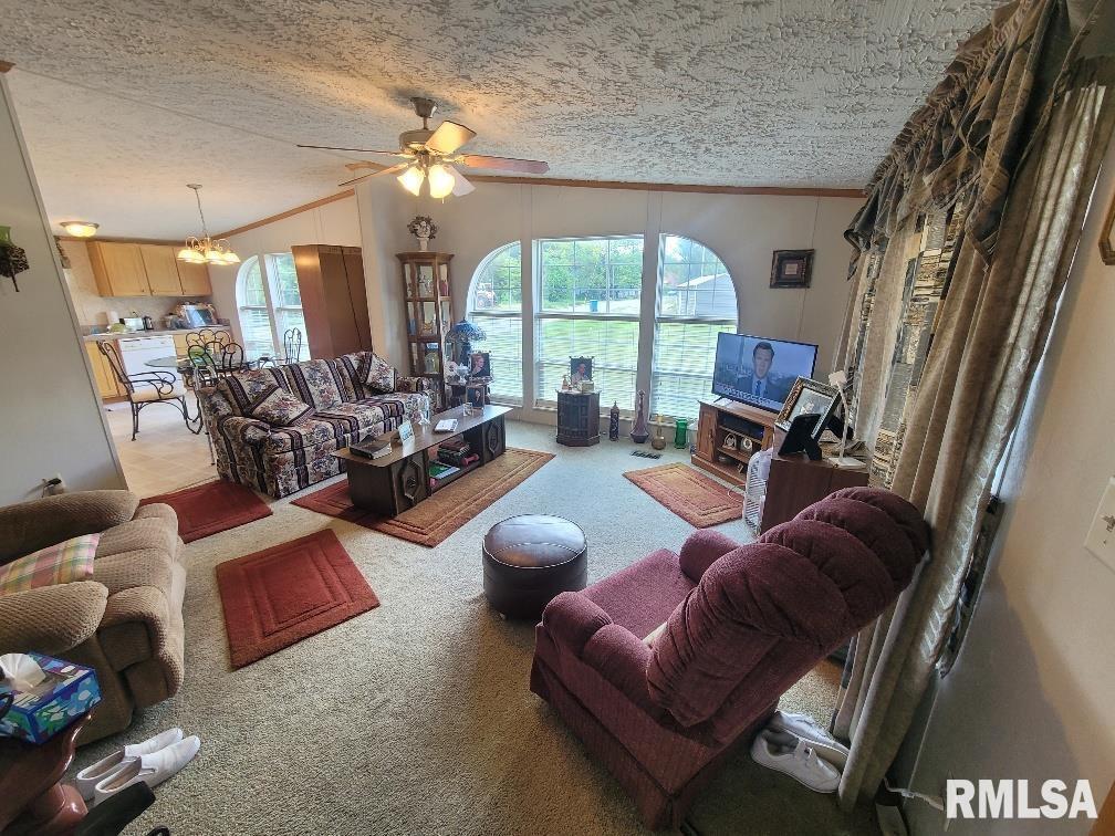 315 3rd Avenue Grand Tower, IL 62942 - Photo 6 of 28