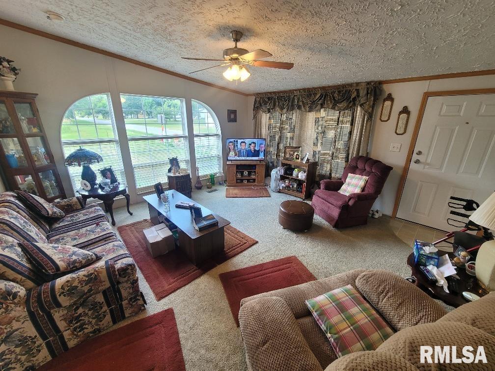 315 3rd Avenue Grand Tower, IL 62942 - Photo 7 of 28