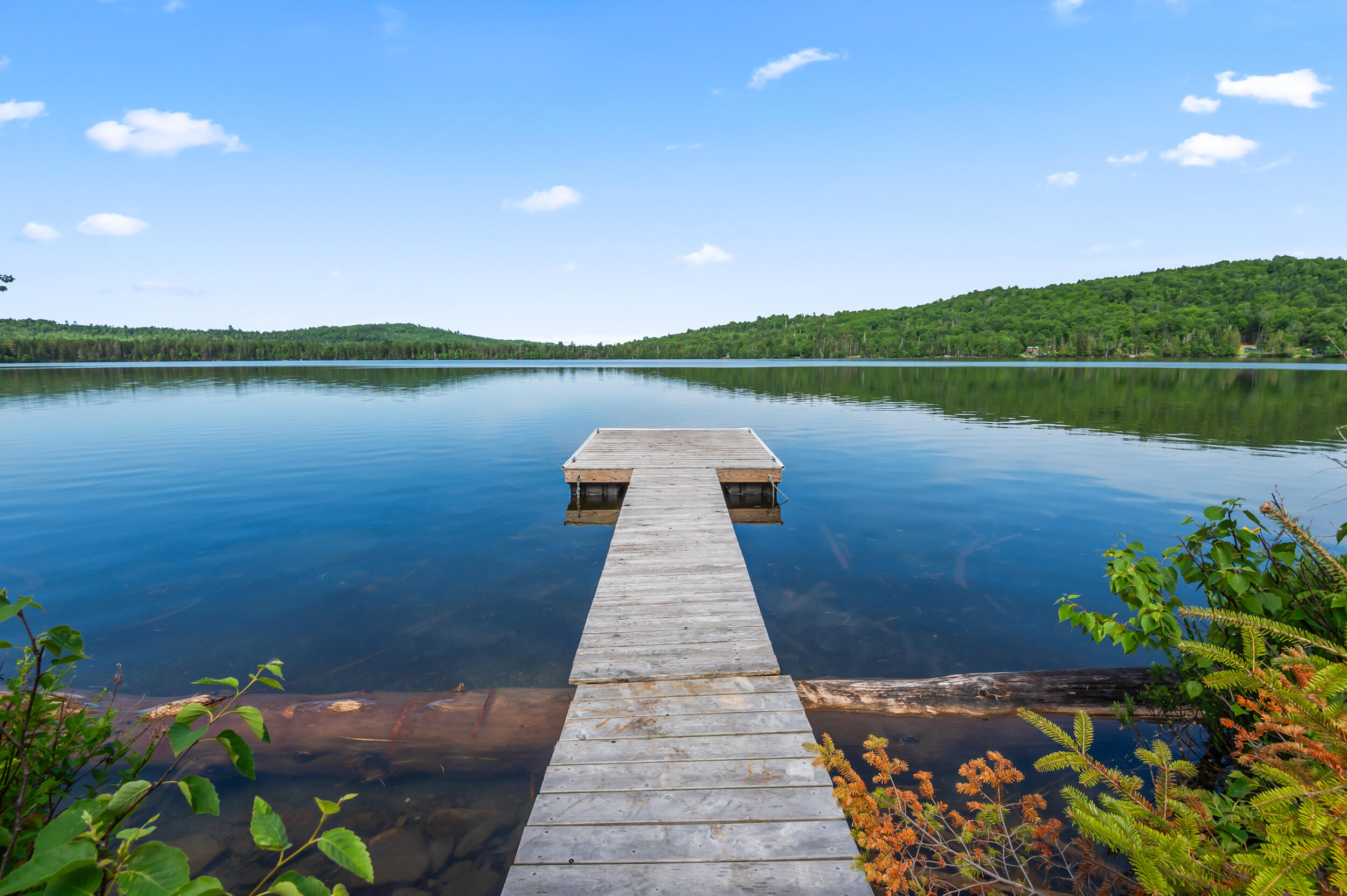 220 Quimby Pond Road Rangeley, ME 04970 - Photo 6 of 38 _JRV6507