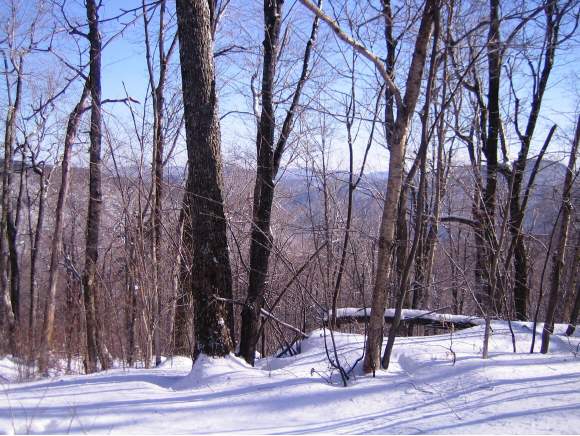 Lot 21 Foster Farm Road Killington, VT 05751 - Photo 1 of 1