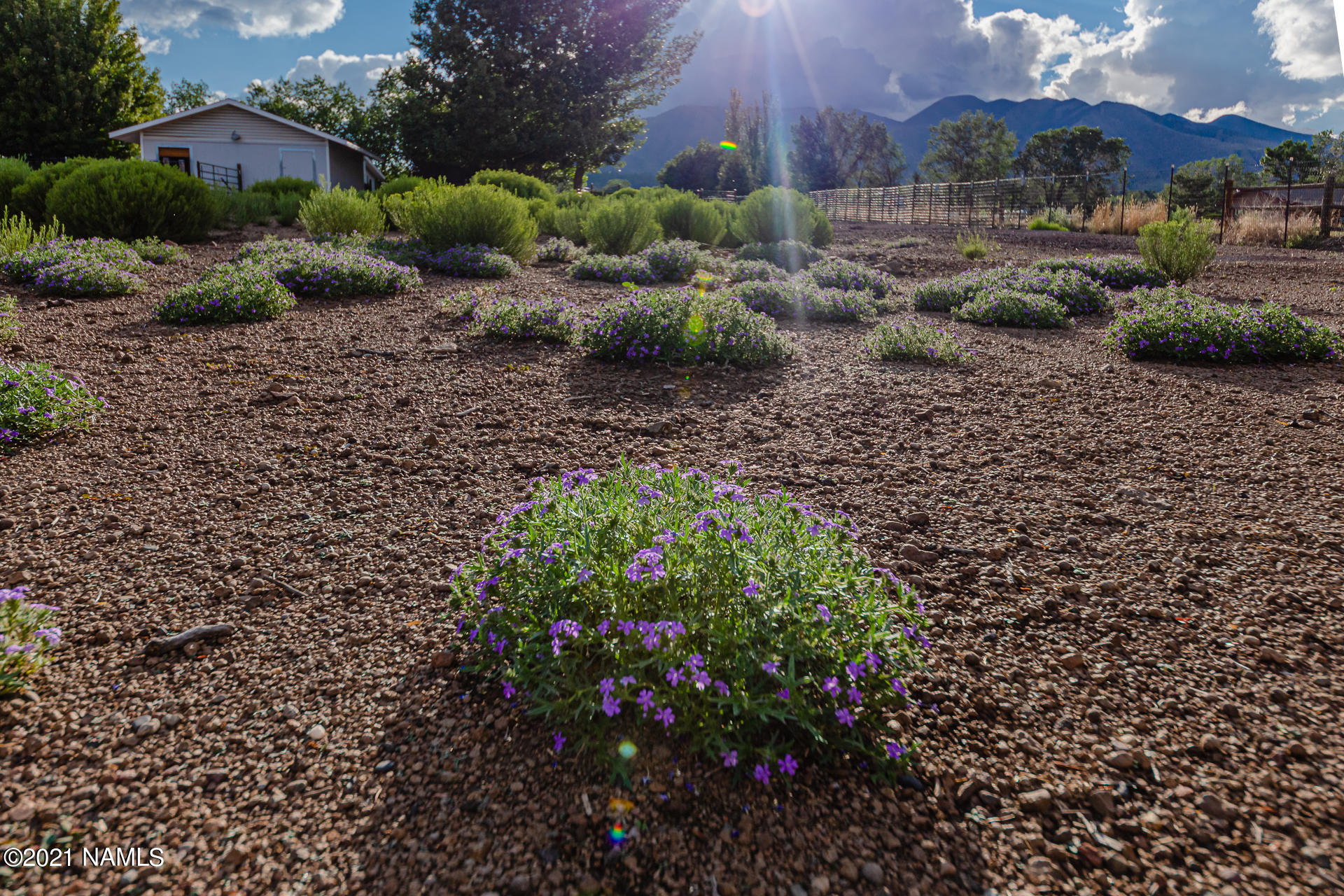 10965 Sage Road Flagstaff, AZ 86004 - Photo 38 of 57 Backyard with views