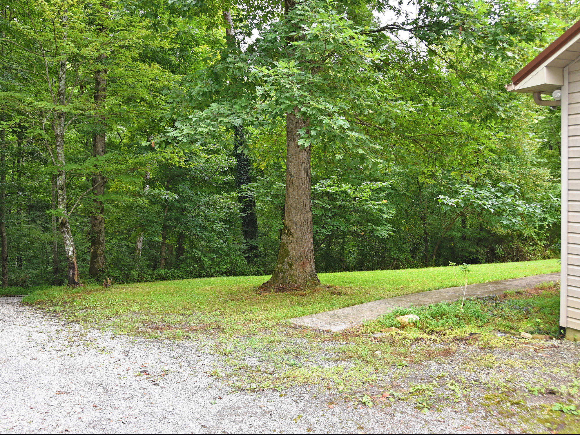 129 Butterfly Lane Heiskell, TN 37754 - Photo 3 of 19 129 Butterfly Ln 5