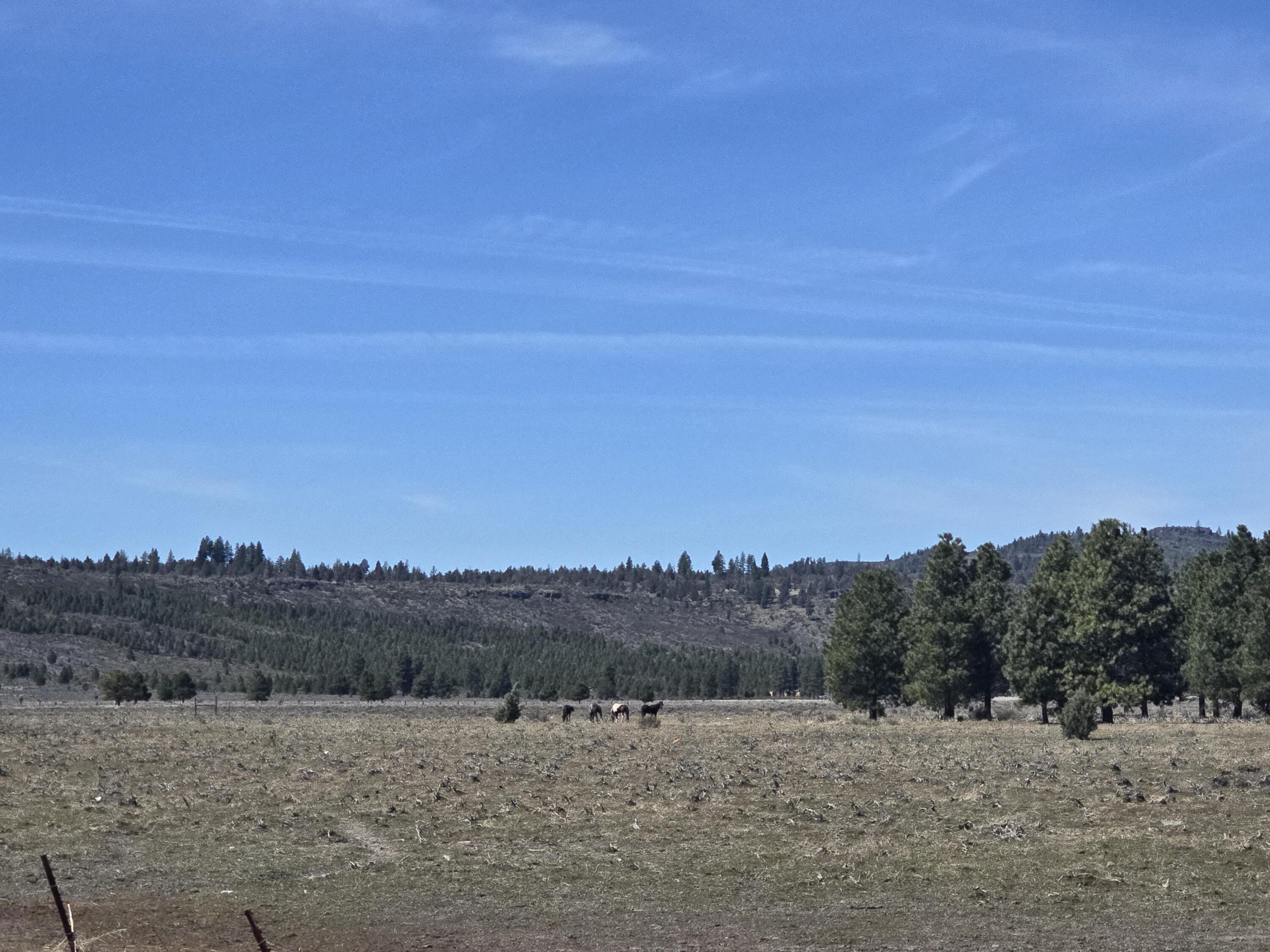 Tableland Road, Unit 3900 Chiloquin, OR 97624 - Photo 9 of 10