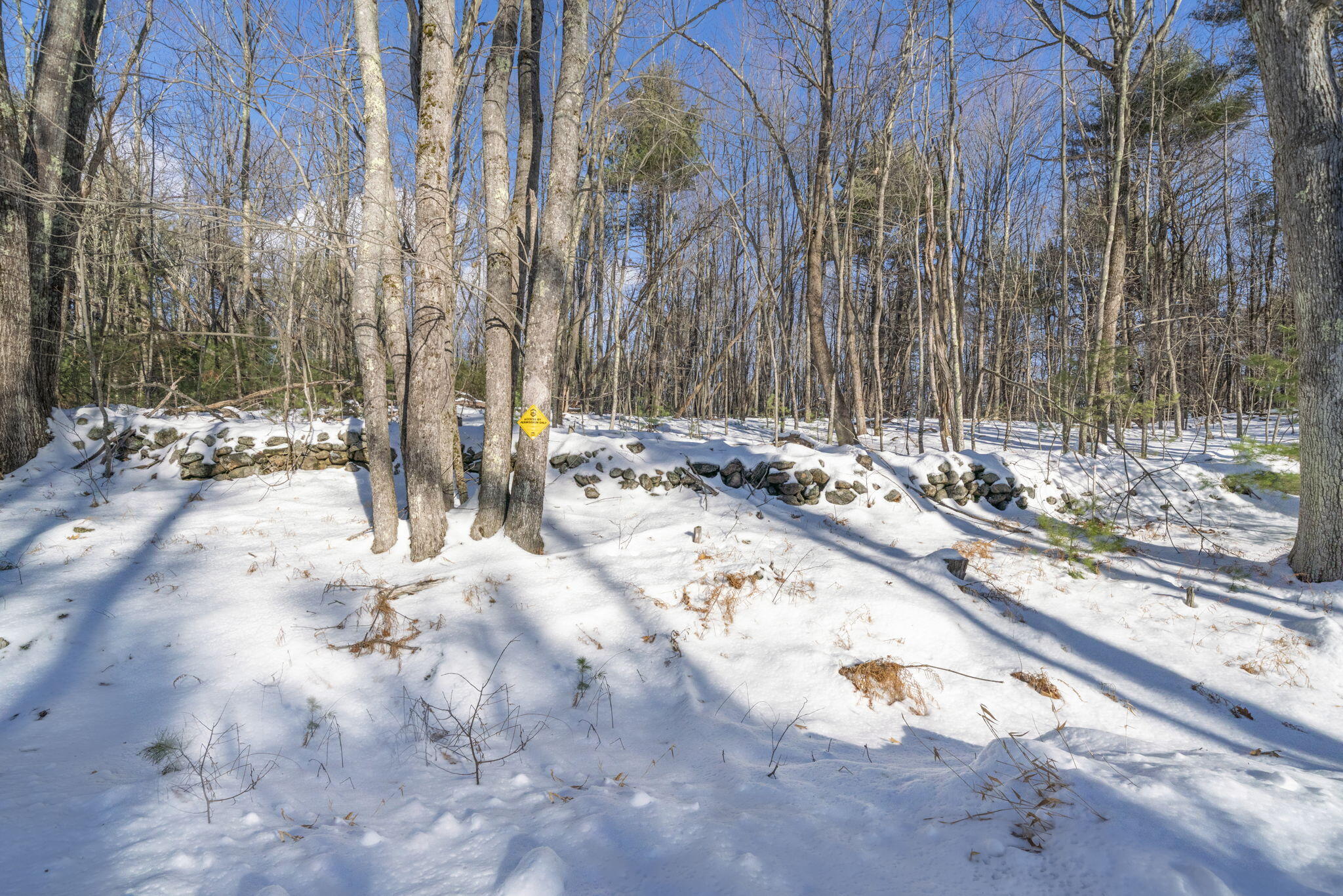 Map9-l46-5 Old Middle Road North Waterboro, ME 04061 - Photo 7 of 13 1090 Middle-21