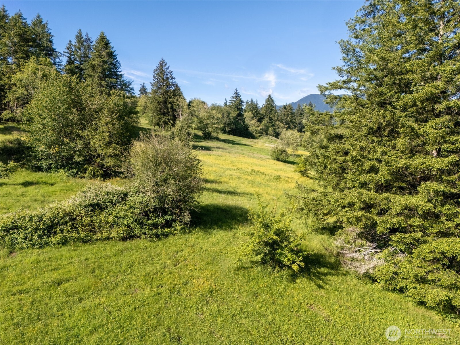 9999 Leland Valley Road West Quilcene, WA 98376 - Photo 19 of 40