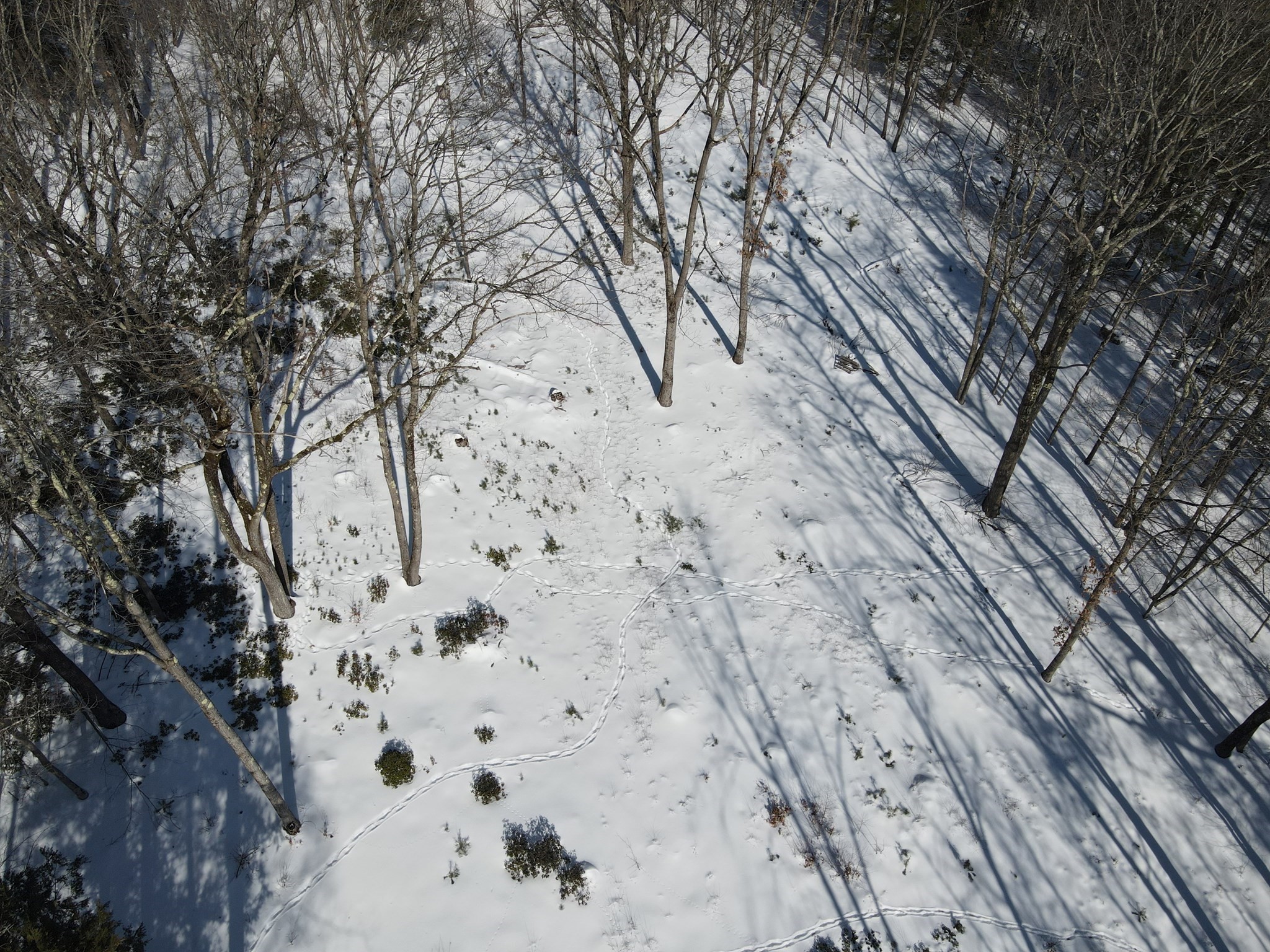 0 Fox Hill Road Bernardston, MA 01337 - Photo 4 of 18 Gallery Image 4