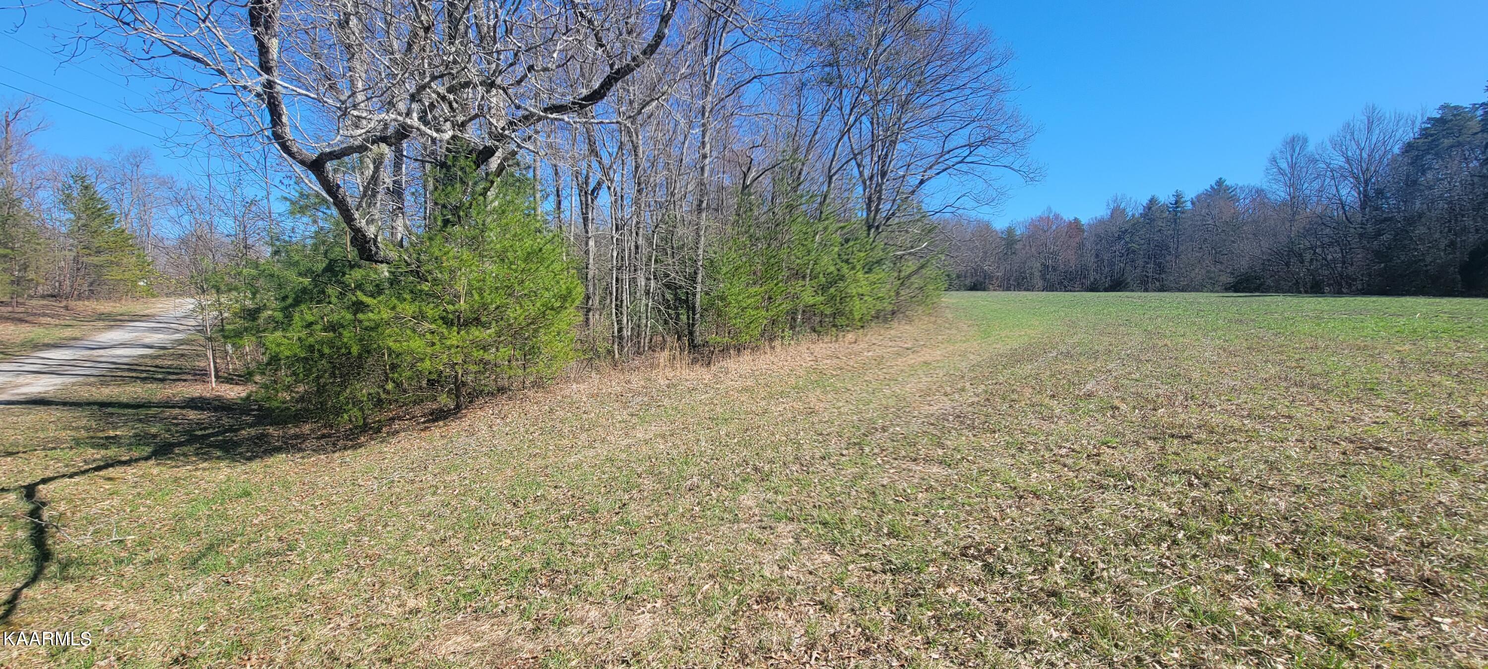Lot 91 Four Mile Creek Road Deer Lodge, TN 37726 - Photo 2 of 7 20230315_155513