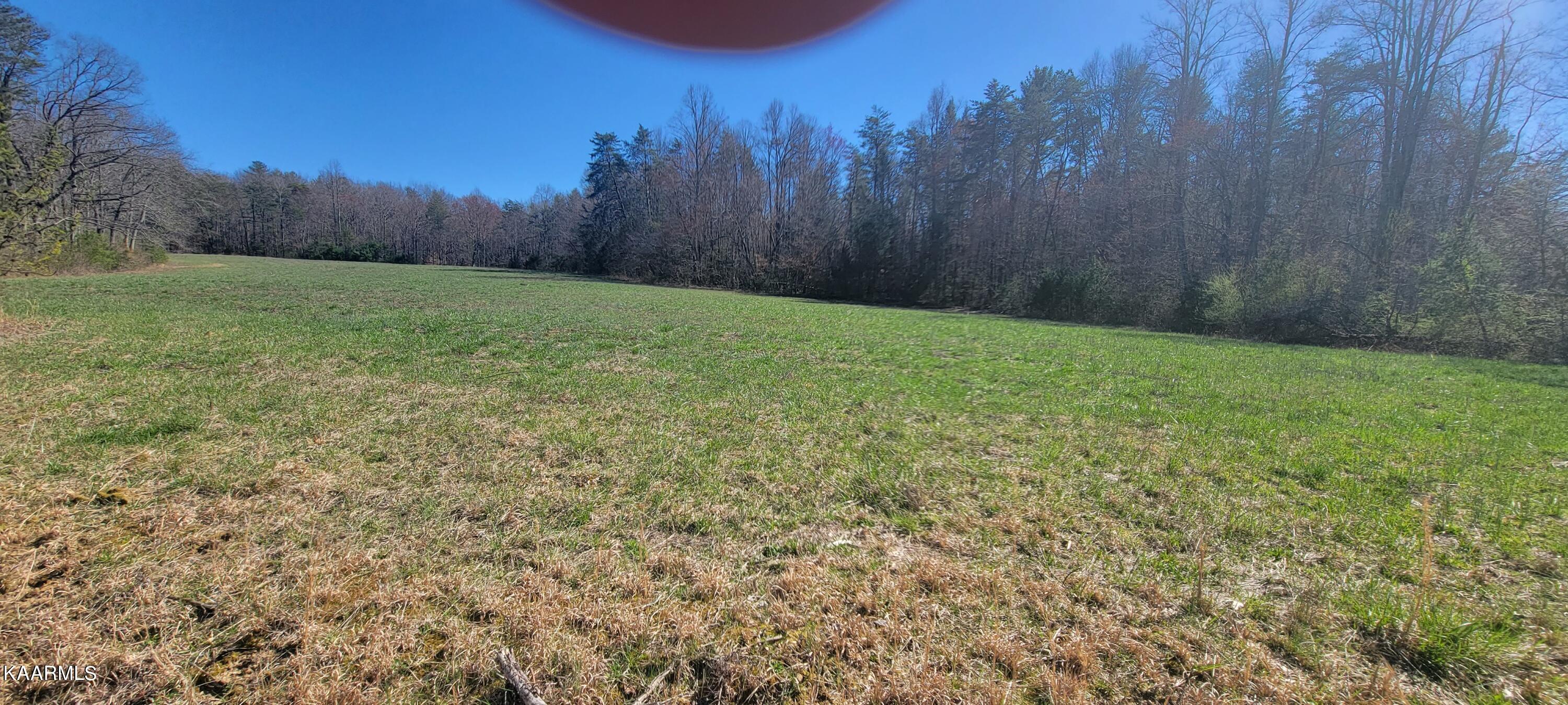 Lot 91 Four Mile Creek Road Deer Lodge, TN 37726 - Photo 3 of 7 20230315_155221